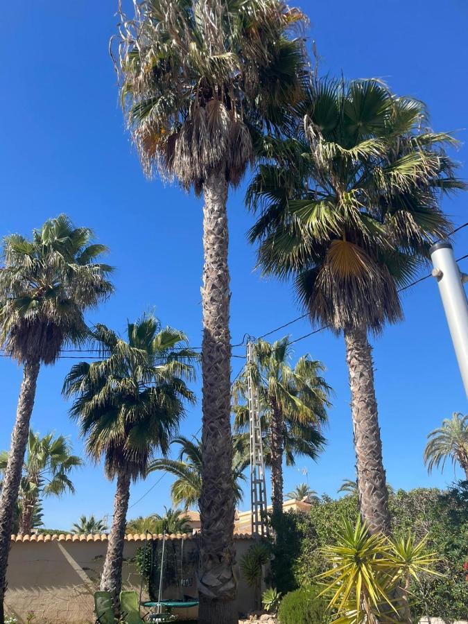 Palangre Beach Apartment Torrevieja Dış mekan fotoğraf